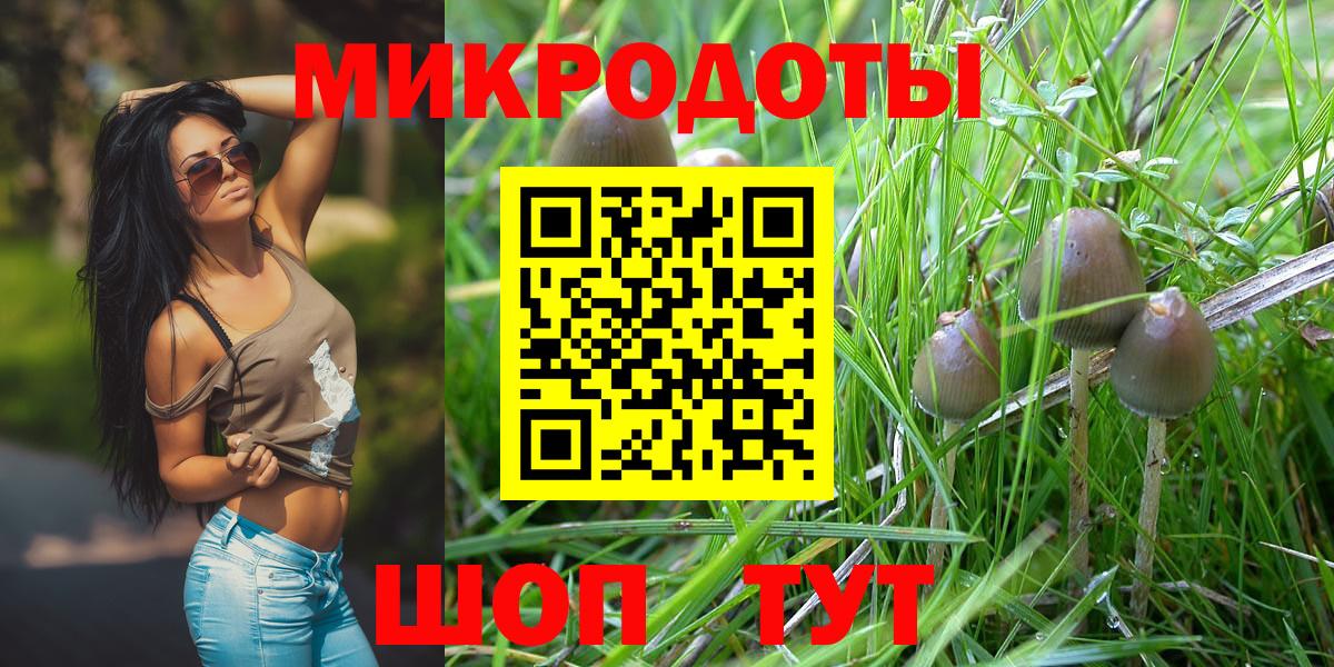 Галлюциногенные грибы GOLDEN TEACHER  Вход с VPN  Зеленокумск 